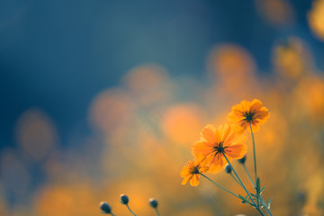 游泳六大注意事项