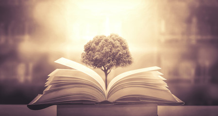 二年级科技创新小制作