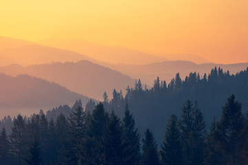 高效记忆的10个方法