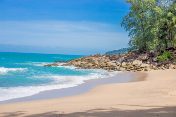 大班体育活动教学反思