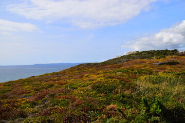中国人早餐吃什么？