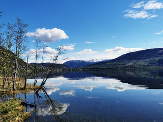 异步电动机的工作特性