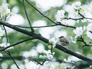 大班体育活动教学反思