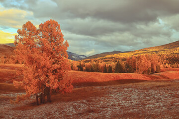 i dont give a shit的中文意思是什么？