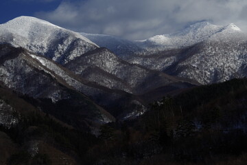 水果脑筋急转弯