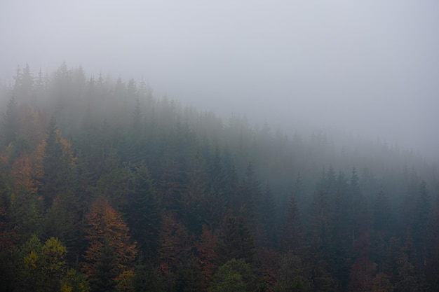 为什么每次用一些震动的减肥仪器就会皮肤痒-