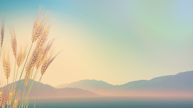 异步电动机的工作特性