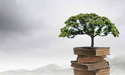 中国人早餐吃什么？