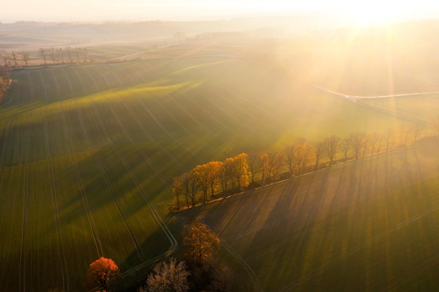 水果脑筋急转弯