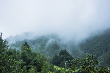 二年级科技创新小制作